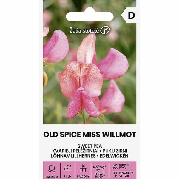 Ærteblomst 'Old Spice Miss Willmot'