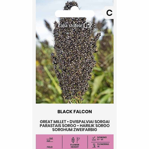 Perlehirse 'Black Falcon'