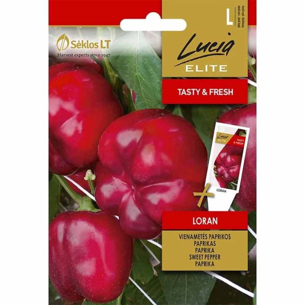 Peberfrugt 'Loran'