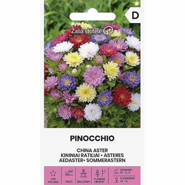 Asters 'Pinocchio mix'