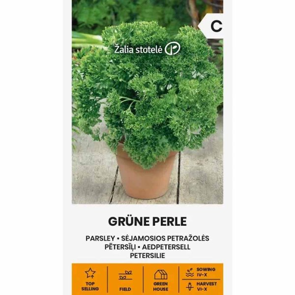 Persille 'Grüne perle'