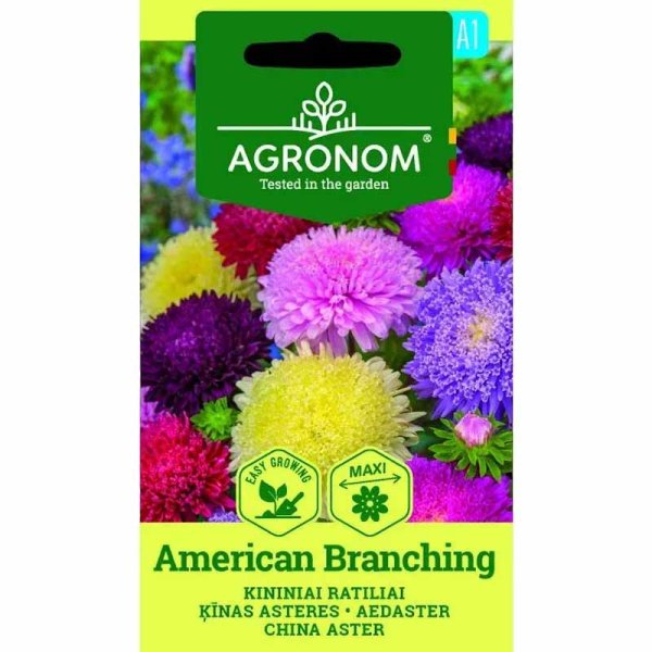 Sommerasters 'American Branching'