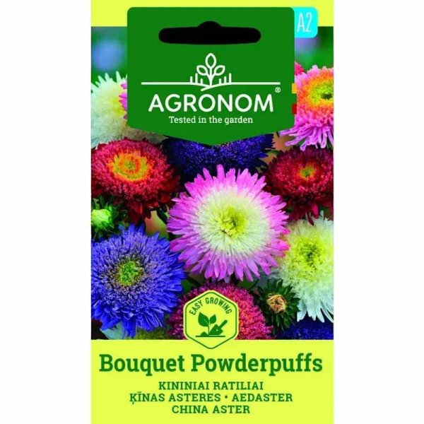 Sommerasters 'Bouquet Powderpuffs'