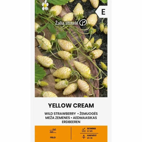 Almindelig jordbær 'Yellow Cream'