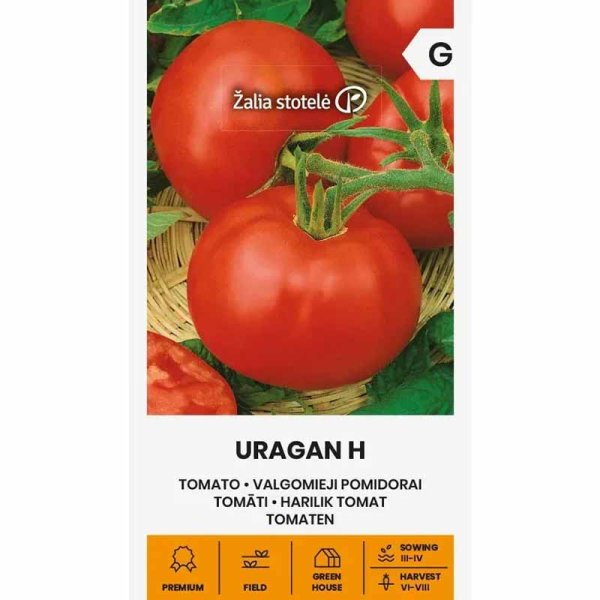 Tomat 'Uragan' H