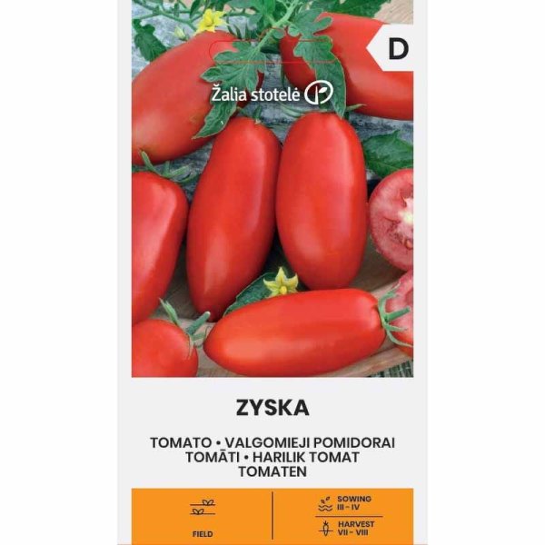 Tomat 'Zyska'