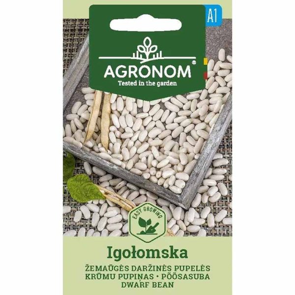 Kogebønne 'Igołomska'