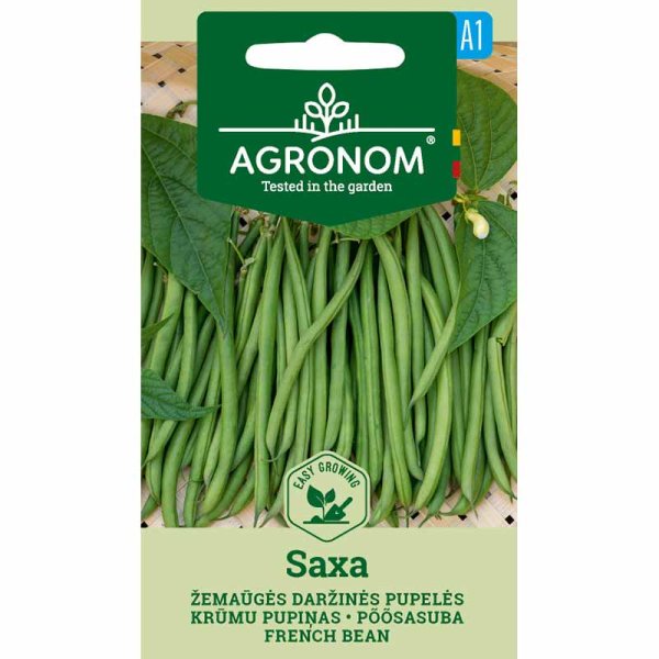 Brydbønne 'Saxa'