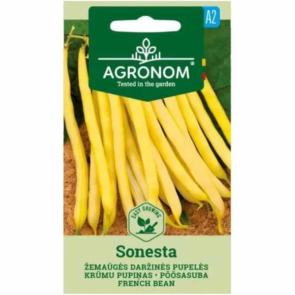 Voksbønne 'Sonesta'