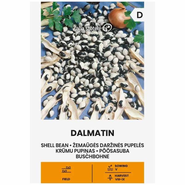 Kogebønne 'Dalmatin'