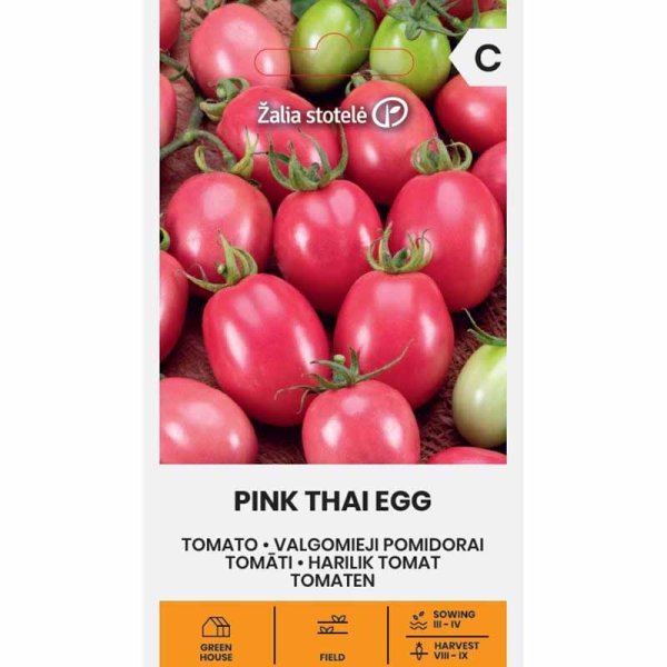 Tomat 'Pink Thai egg'
