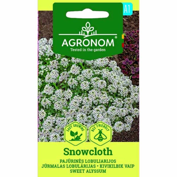 Alyssum 'Snowcloth'