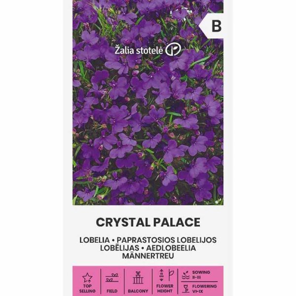 Lobelia 'Crystal palace'