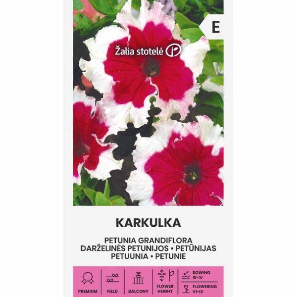 Duftpetunia 'Karkulka'