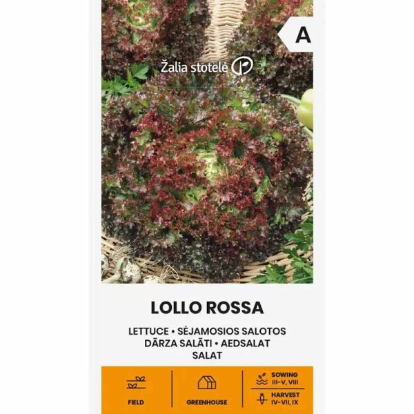 Bataviasalat 'Lollo Rossa'