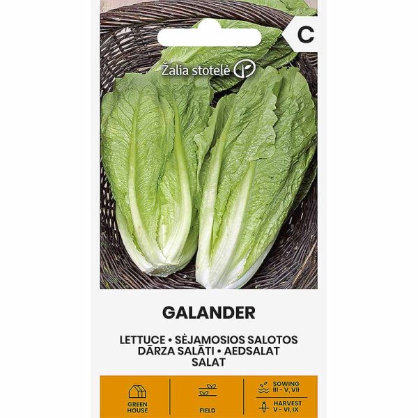 Romaine salat 'Galander'