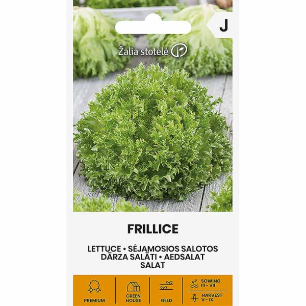 Sallat 'Frillice'