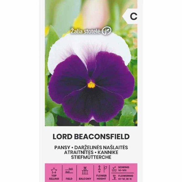 Stedmoderblomst 'Lord beaconsfield'