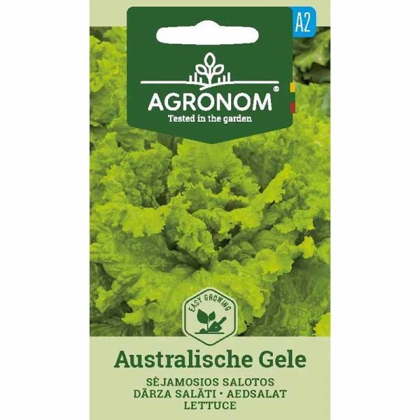 Pluksalat 'Australische Gele'