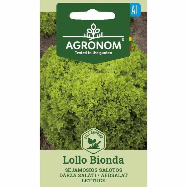 Bataviasalat 'Lollo Bionda'