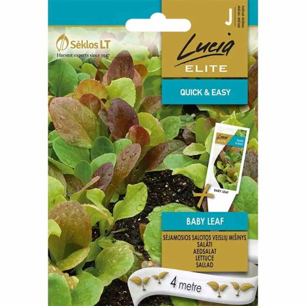 Salat 'Baby leaf'