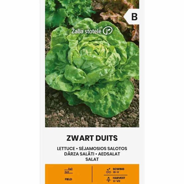 Salat 'Zwart Duits'