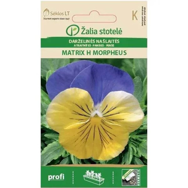 Stedmoderblomst 'Matrix H Morpheus'