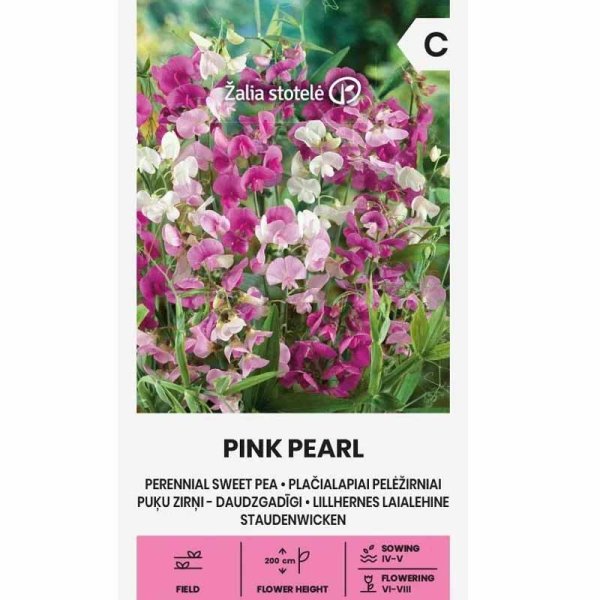 Ærteblomst 'Pink Pearl'