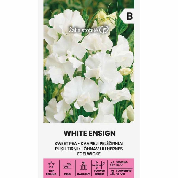 Ærteblomst 'White Ensign'