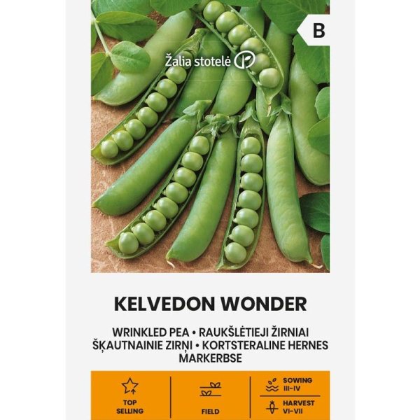 Marvært 'Kevedon Wonder'
