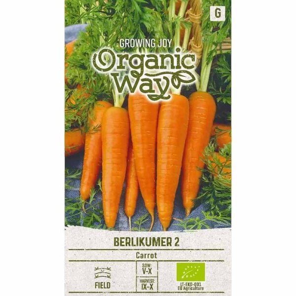 Gulerod 'Berlikumer 2'