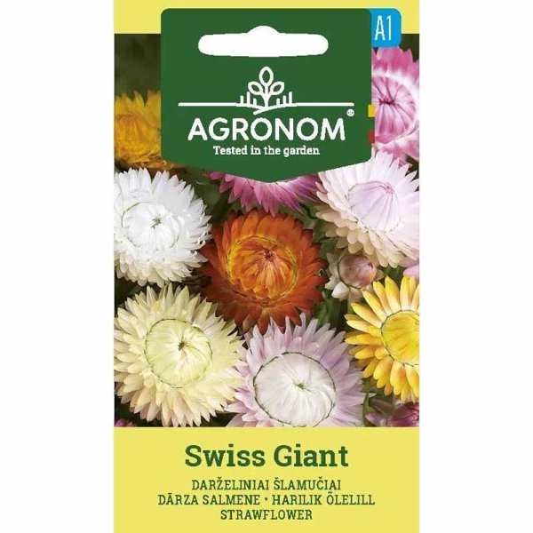 Evighedsblomst 'Swiss Giants'