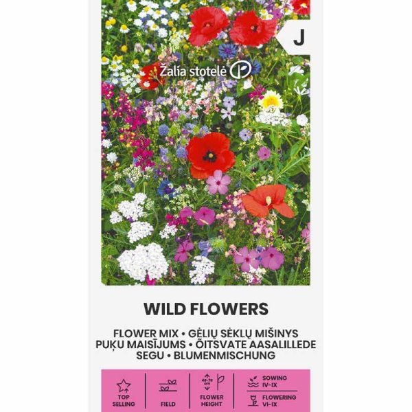Blomsterblanding 'Wild Flowers'