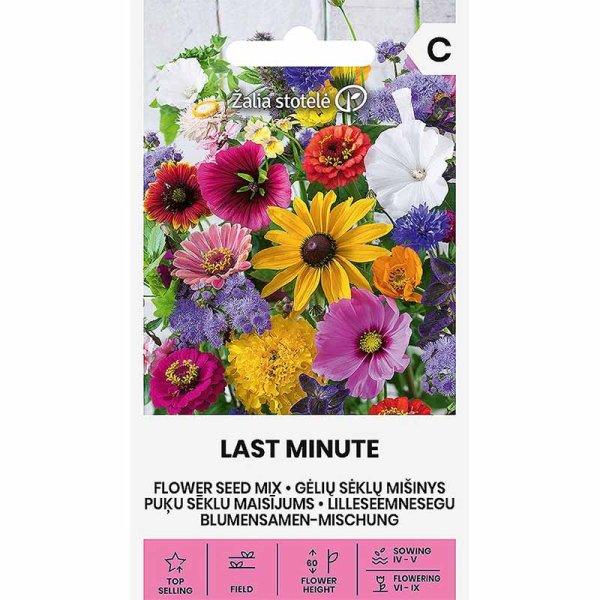 Blomsterblanding 'Last Minute'
