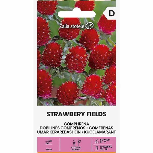 Rød glorieamarant 'Strawberry Fields'