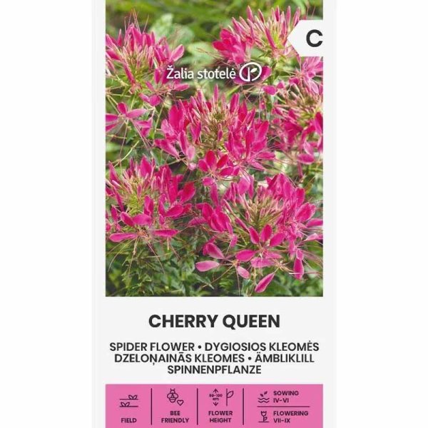 Paradisblomst 'Cherry Queen'