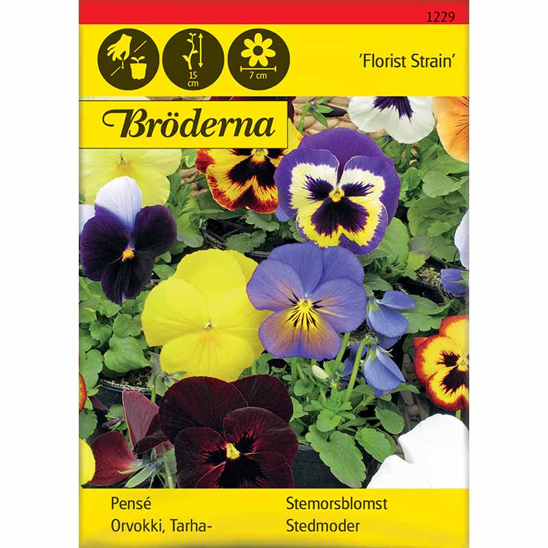 Stedmoderblomst 'Florist Strain' mix