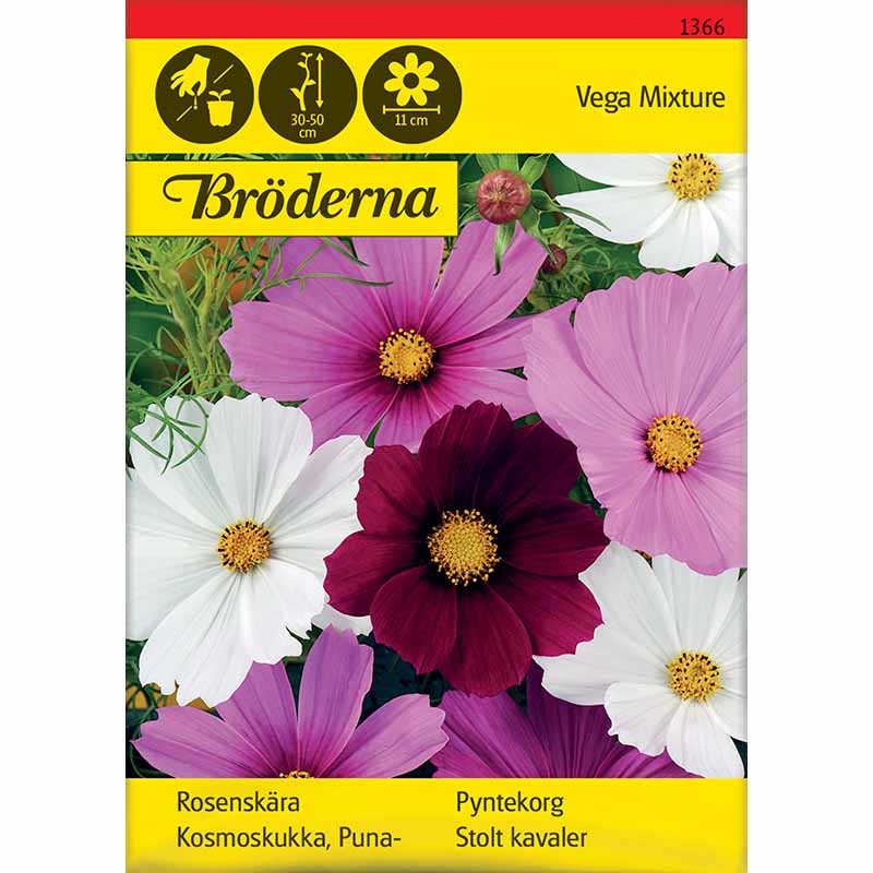 Smykkekosmos 'Vega Mixture'