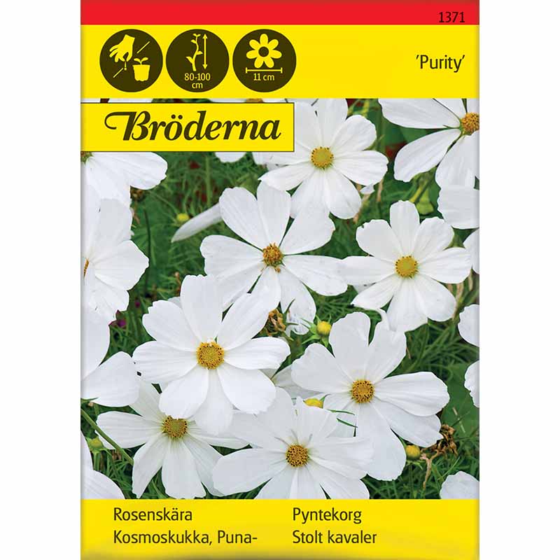 Smykkekosmos 'Purity'