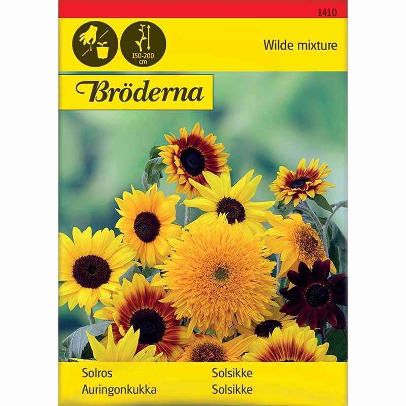 Solsikke blandede sorter