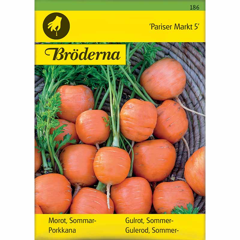 Sommergulerod 'Pariser Markt'