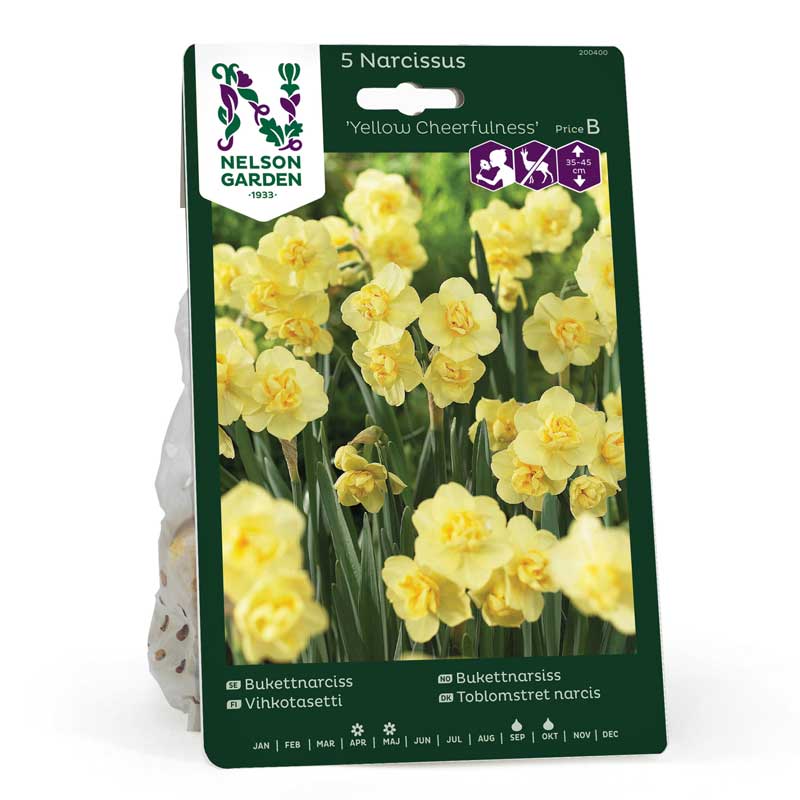 Buketnarcis 'Yellow Cheerfulness'