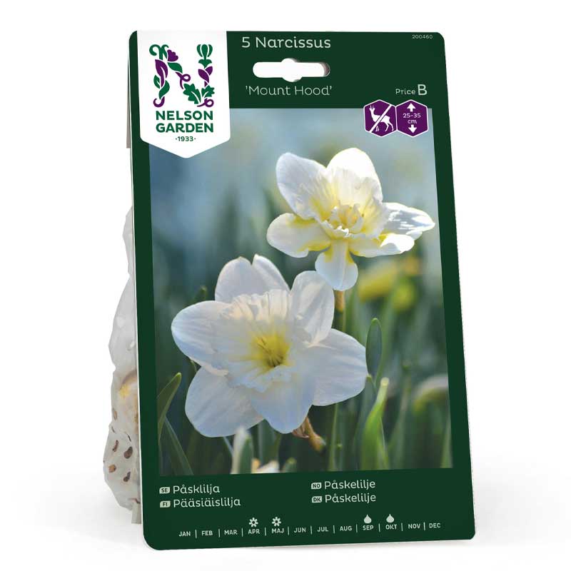 Påskelilje 'Mount Hood'
