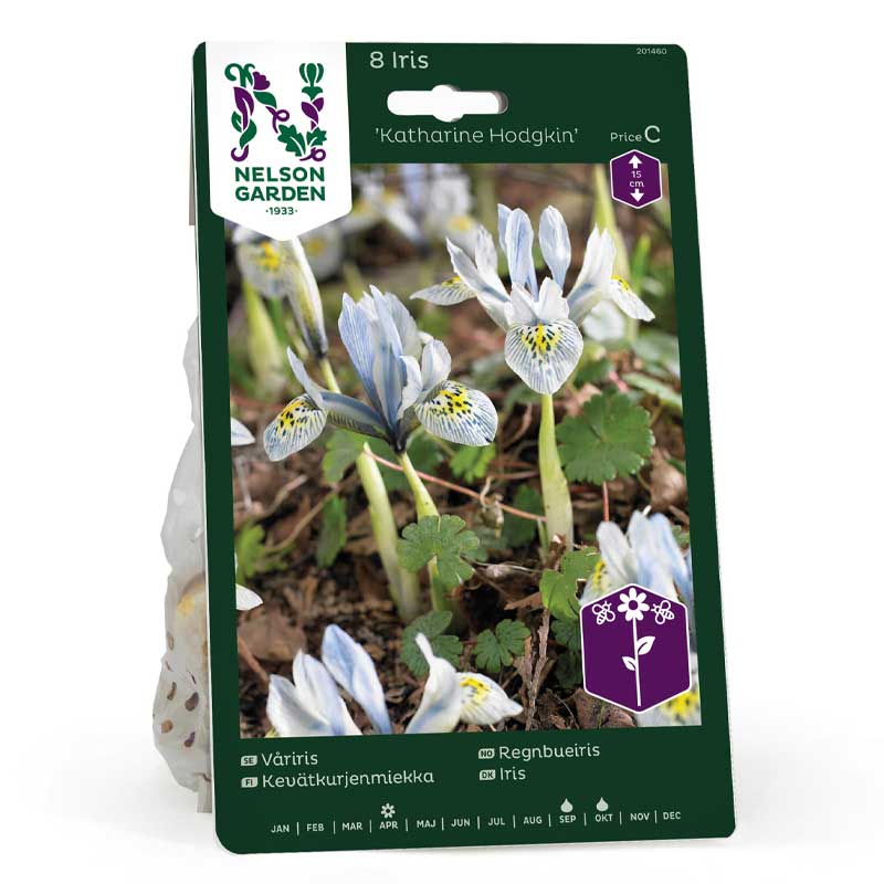 Forårsiris 'Katharine Hodgkin'