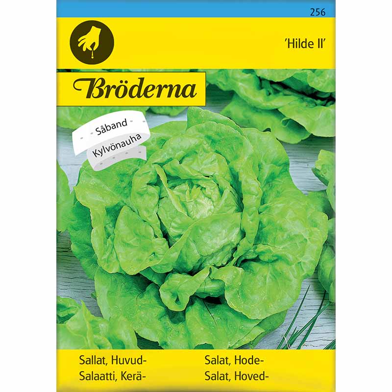 Hovedsalat 'Hilde II' Såbånd