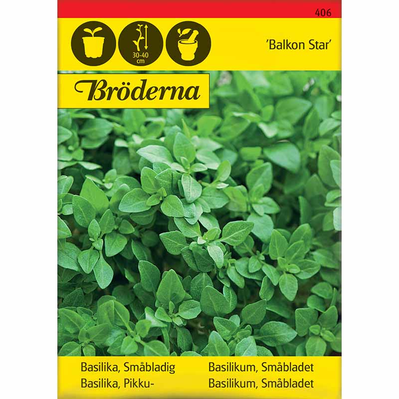 Basilikum 'Balkon star'