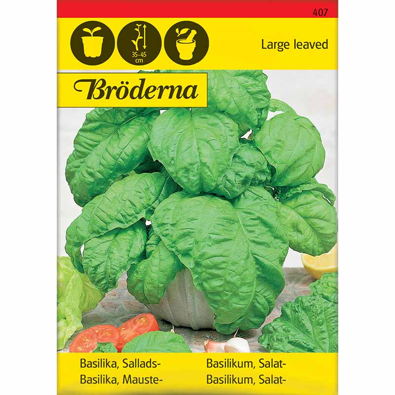 Basilikum 'Large leaved'