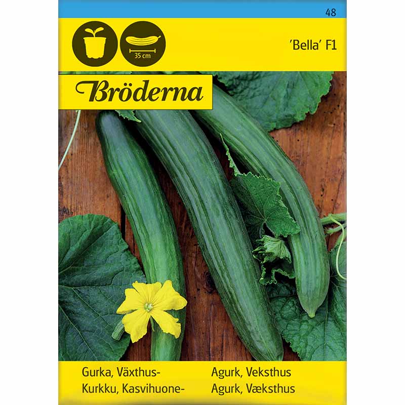 Slicing Cucumber 'Bella' F1