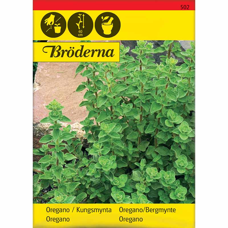 Oregano / Oregano