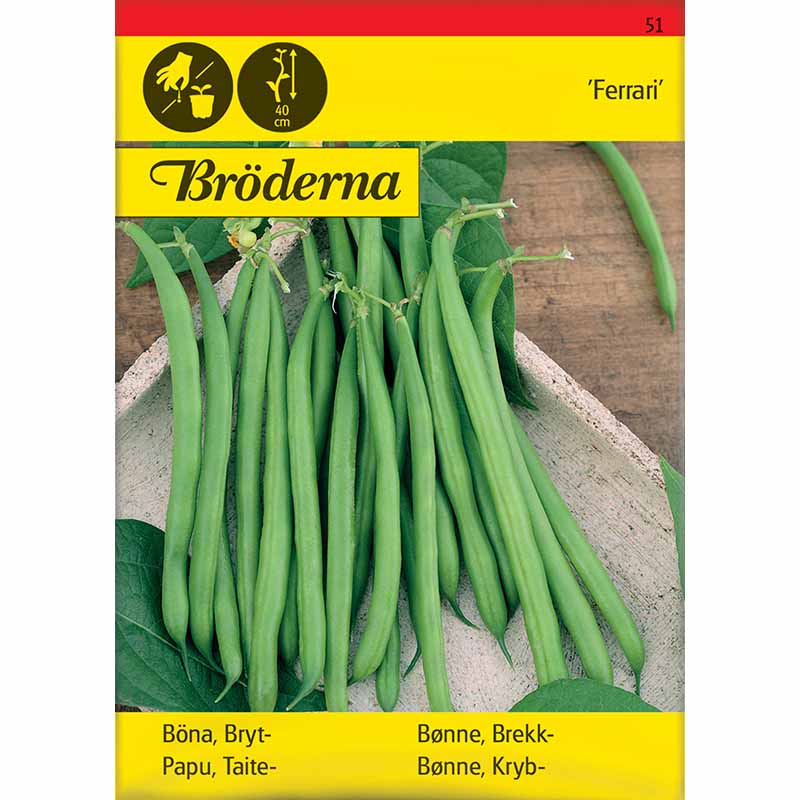 Bønne 'Ferrari'